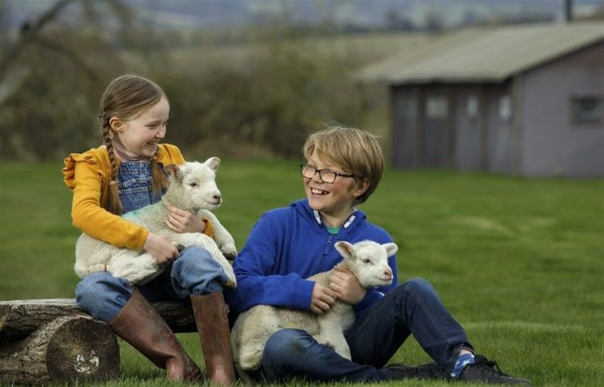 Farm activities