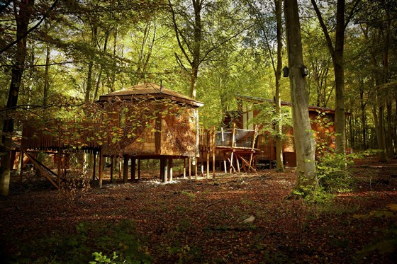 Forest Holidays, Blackwood Forest, Hampshire