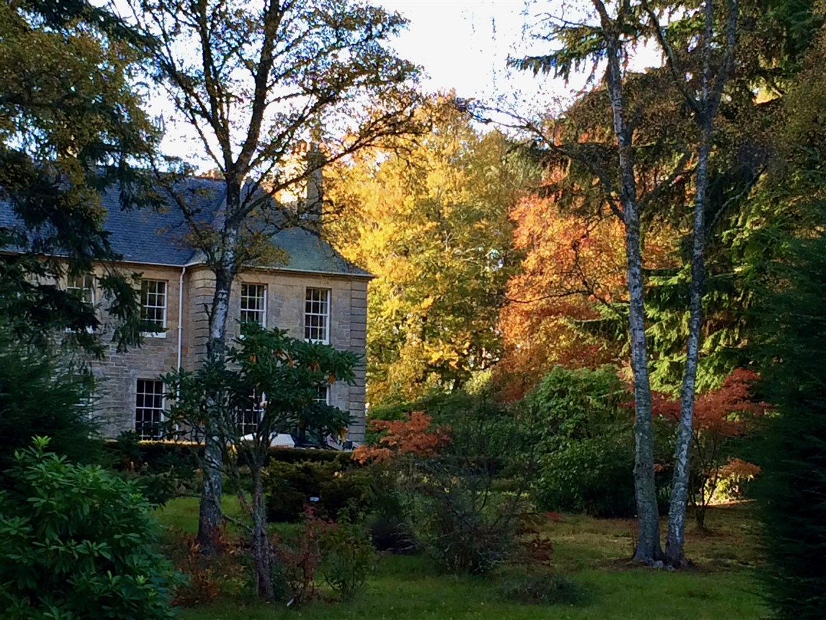 Any season provides beautiful colours at  Blervie