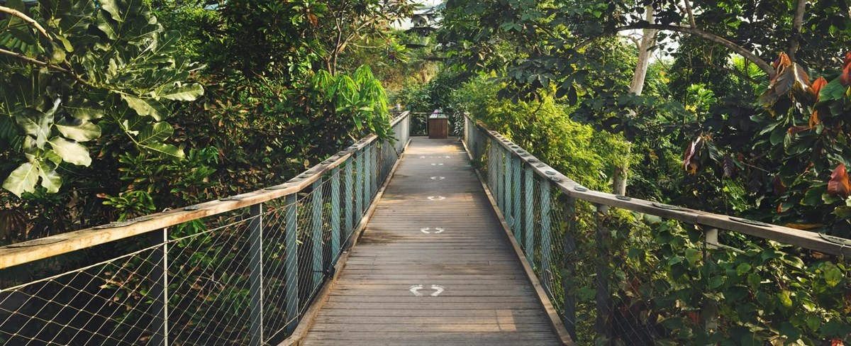 The Eden Project