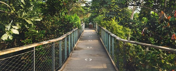 The Eden Project