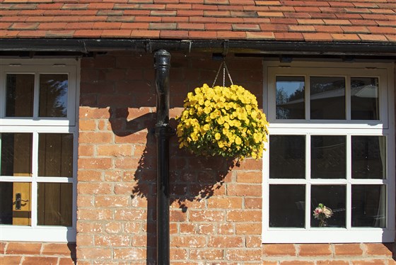 Cottage Landscape