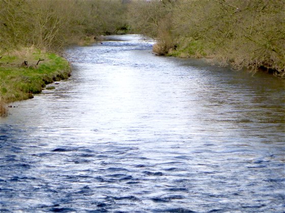 Annandale Estates