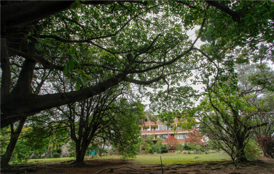 Tre Fontane Durban