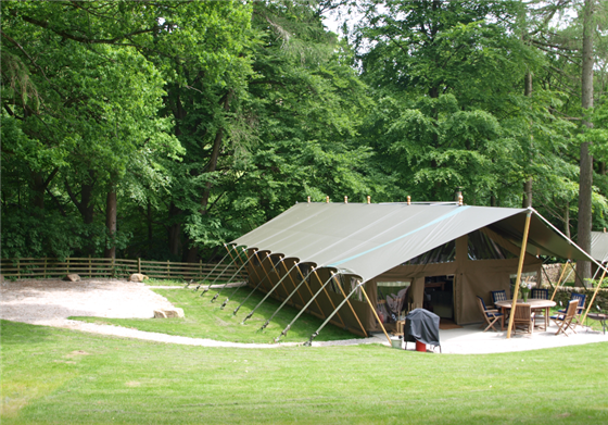 Luxury safari tents
