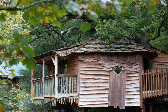 Treehouse Breaks at Forest Holidays, Blackwood Forest