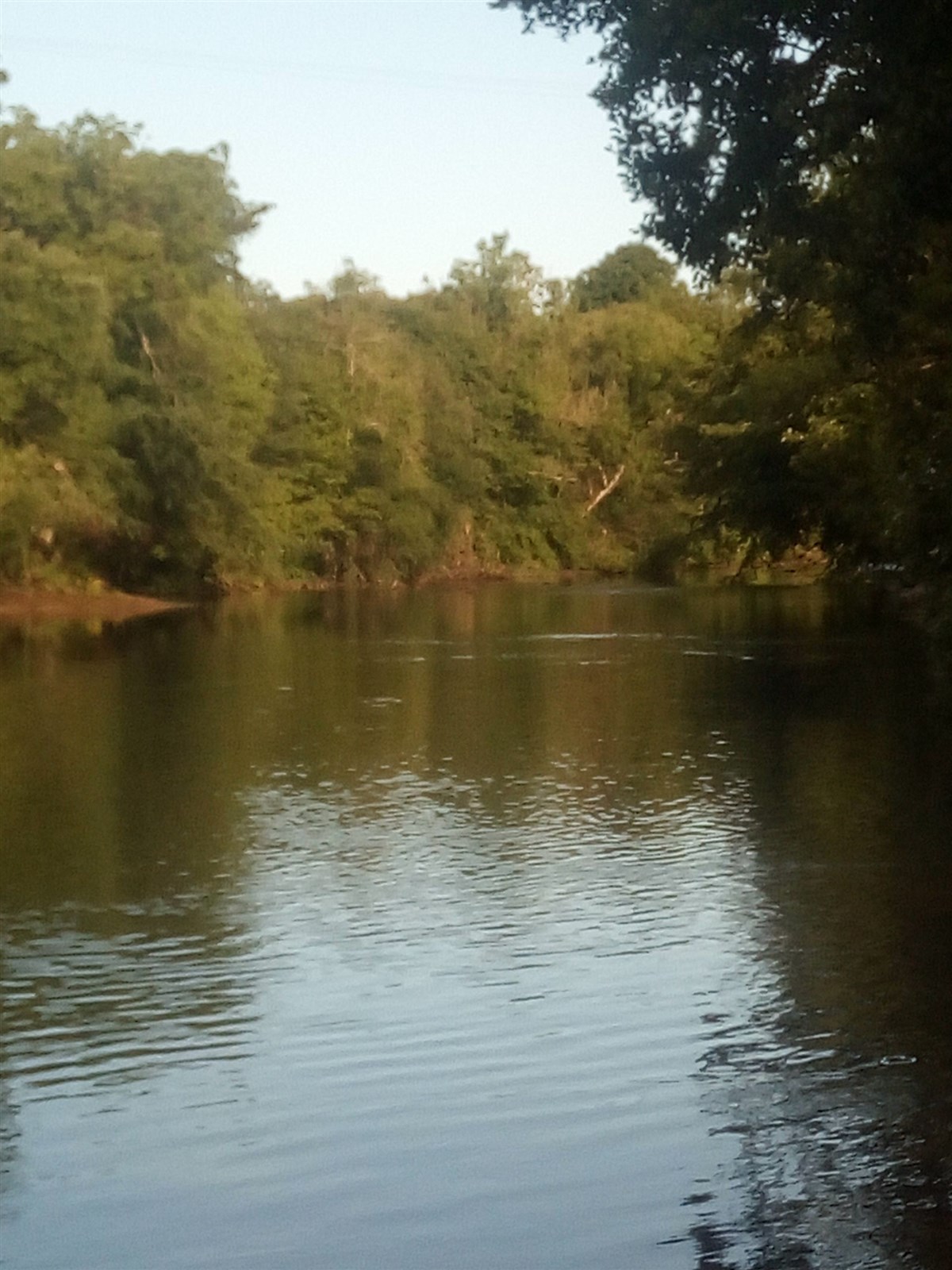 Upstream from hut