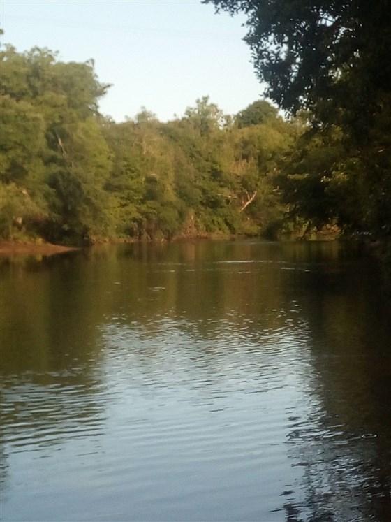 Upstream from hut