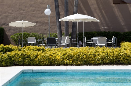 Terrace bar and swimming pool
