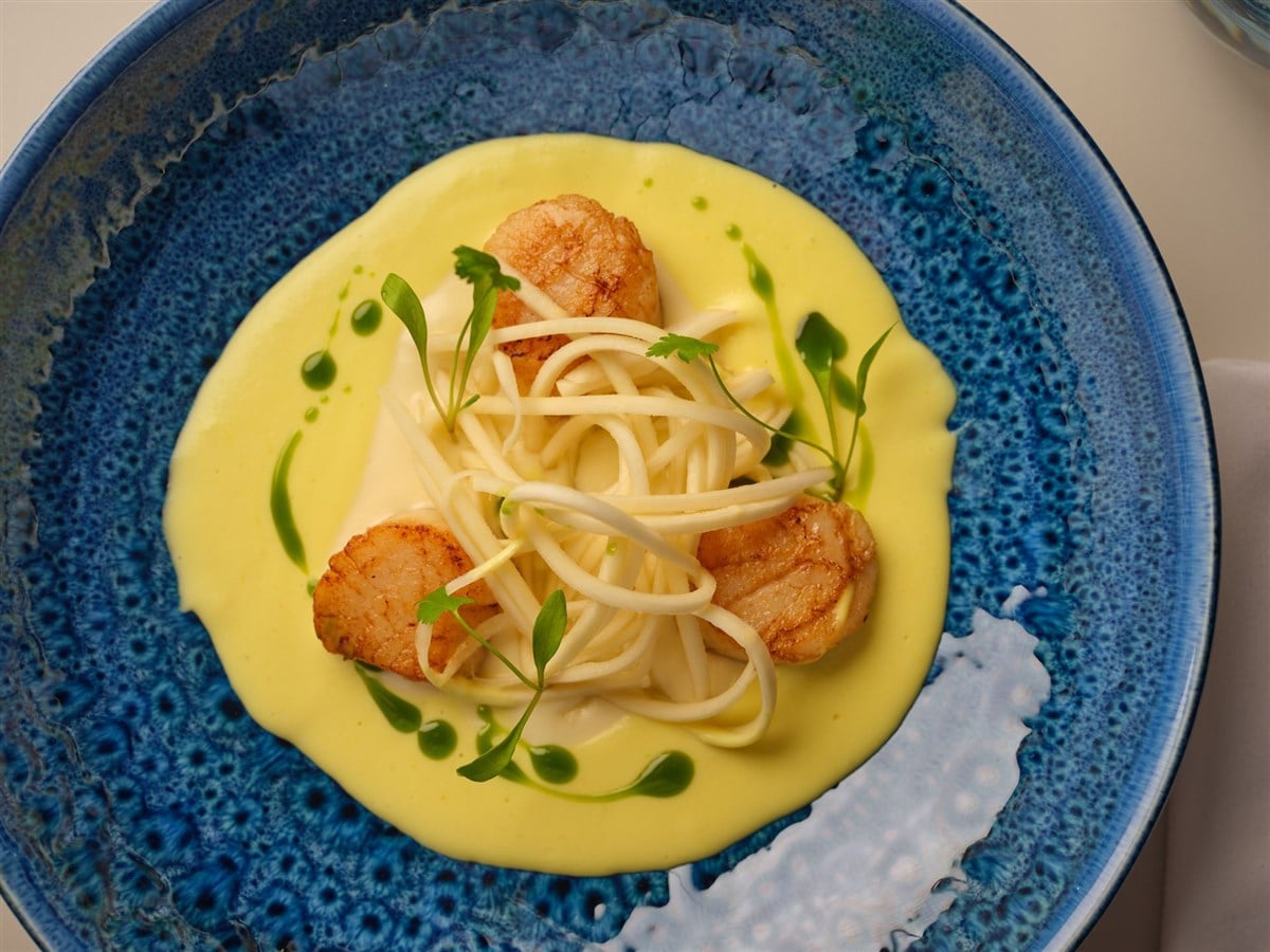 Scallops