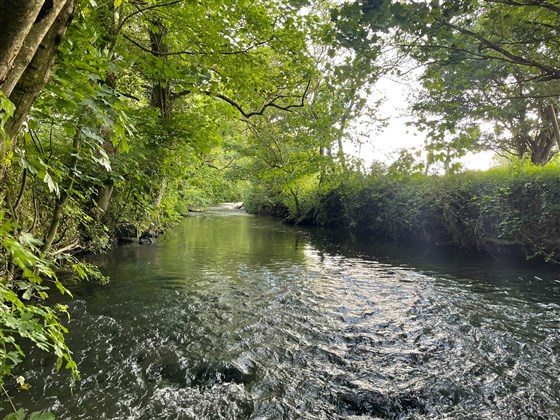 Streamy water