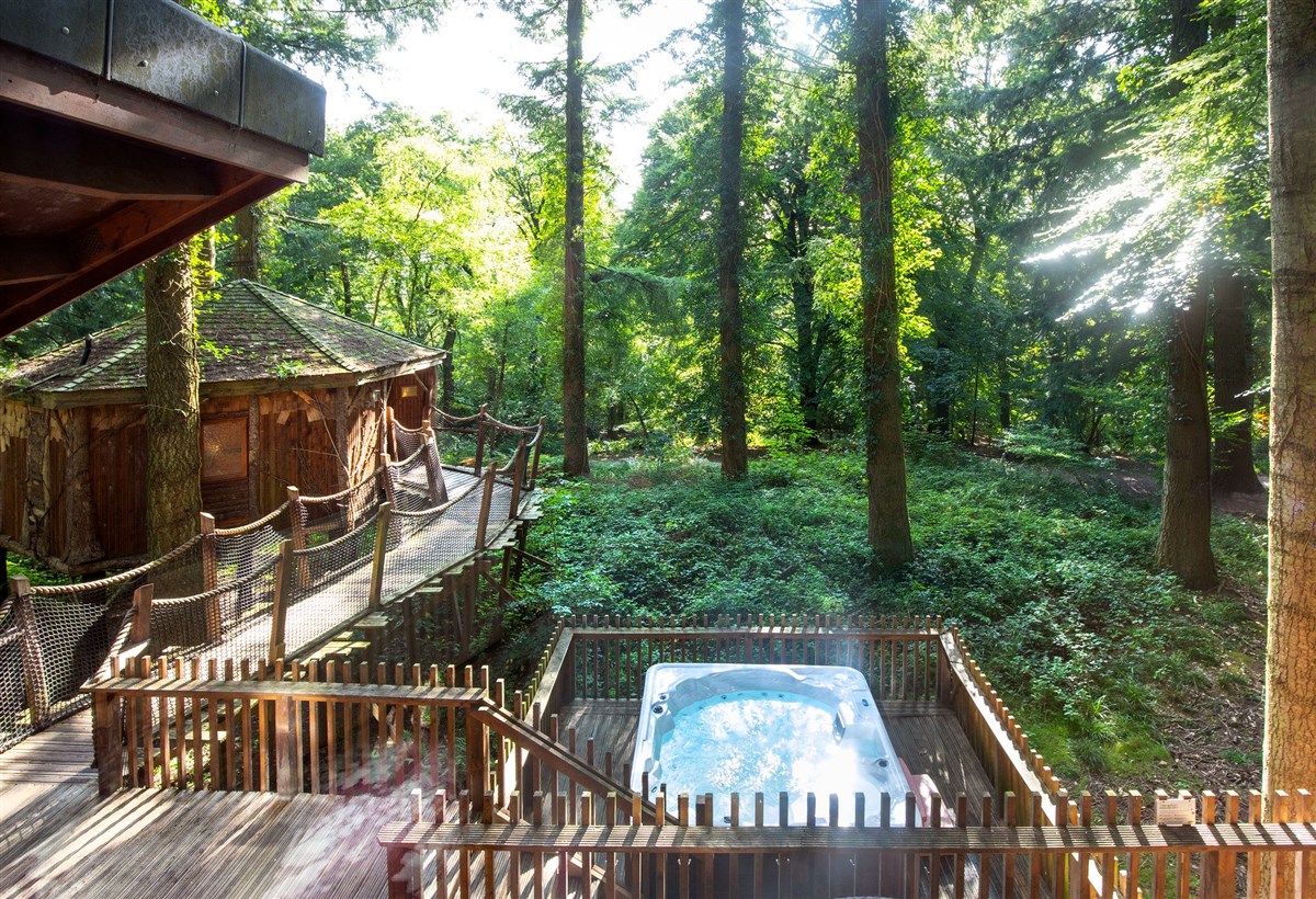 Treehouse Breaks at Forest Holidays, Deerpark
