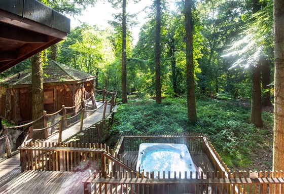 Treehouse Breaks at Forest Holidays, Deerpark