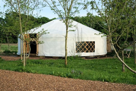 Plush Tents Yurt Village, Chichester