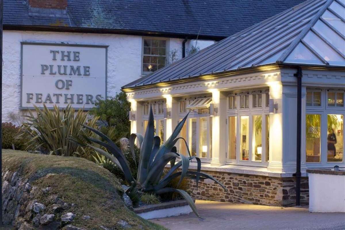 The Plume of Feathers