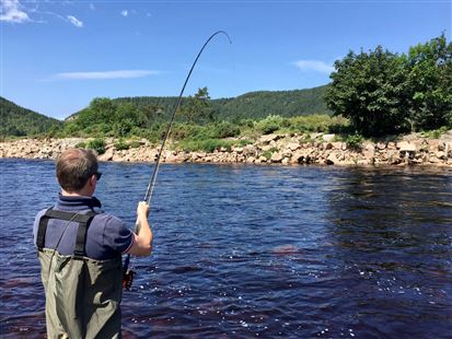 Fishpal FishPal - buy fishing permits for salmon, trout and grayling