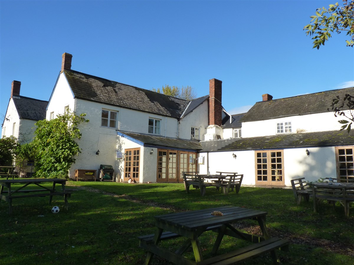 Grand jardin de pub arrière adapté aux chiens 