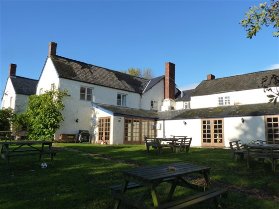 Grand jardin de pub arrière adapté aux chiens 