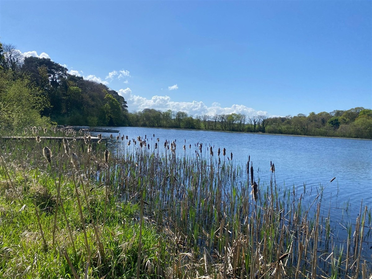 The Oaks Fishery