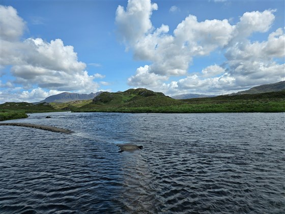 Loch Assynt Lodge