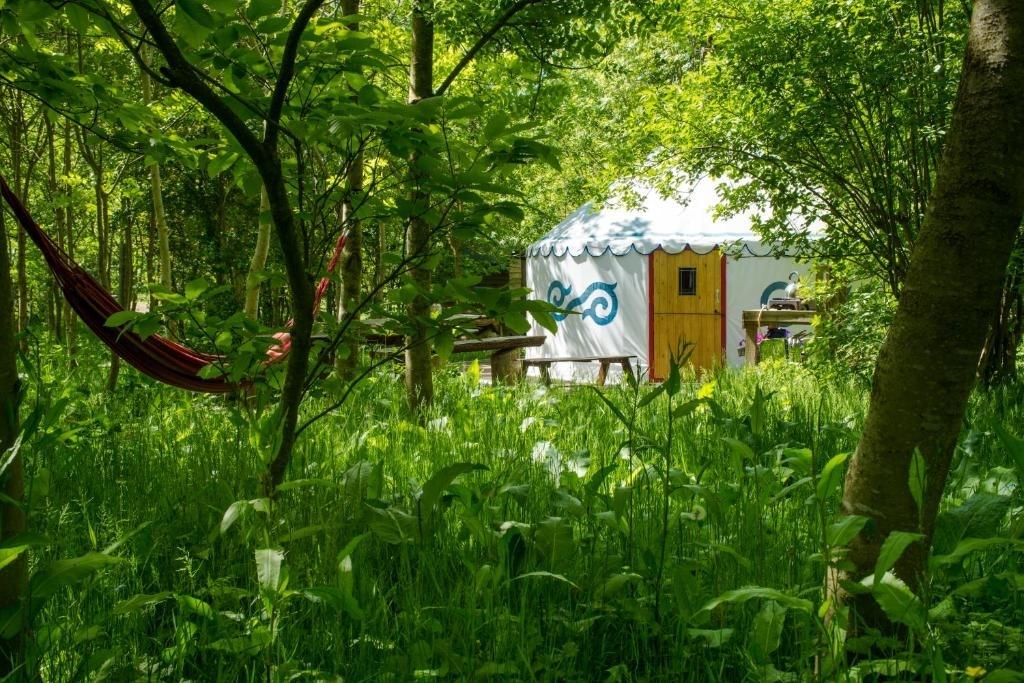 Plush Tents Yurt Village photo 4