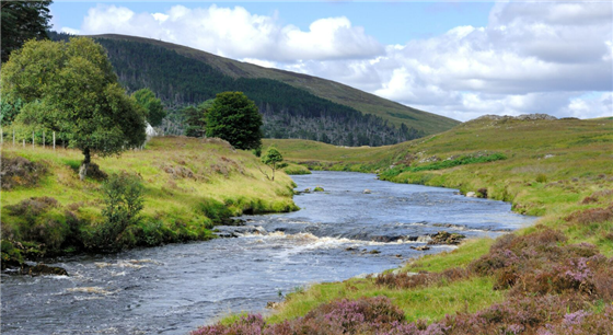 River Helmsdale 