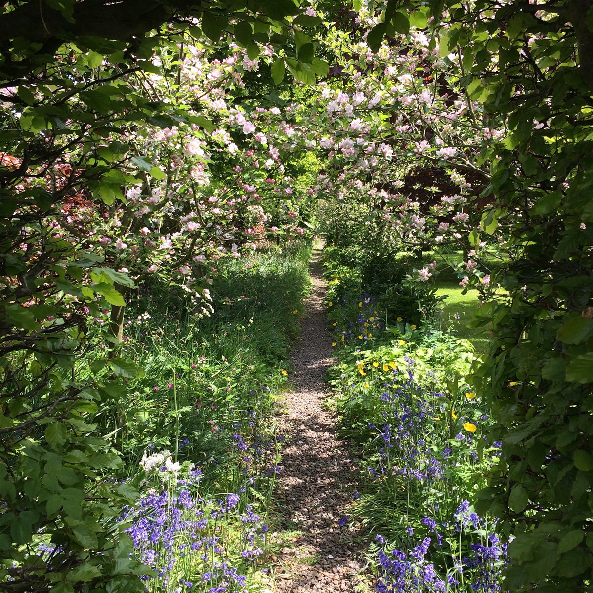 orchard walk