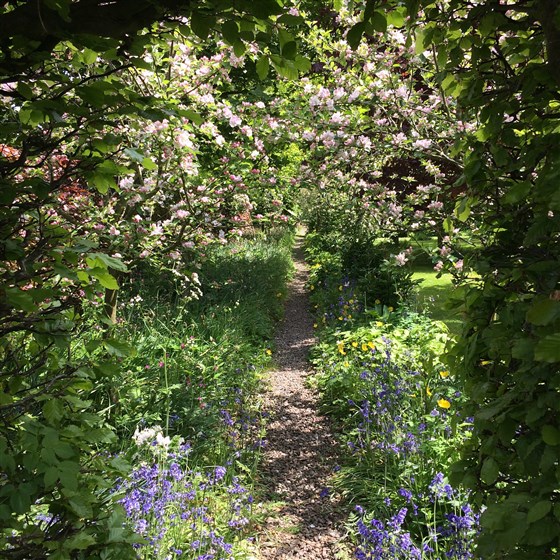 orchard walk