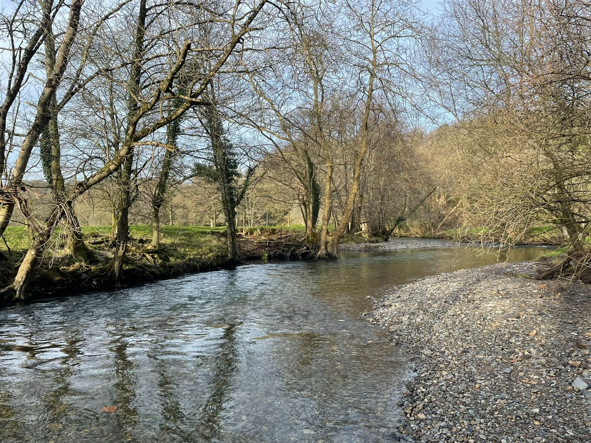 lovely water