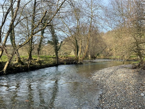 lovely water