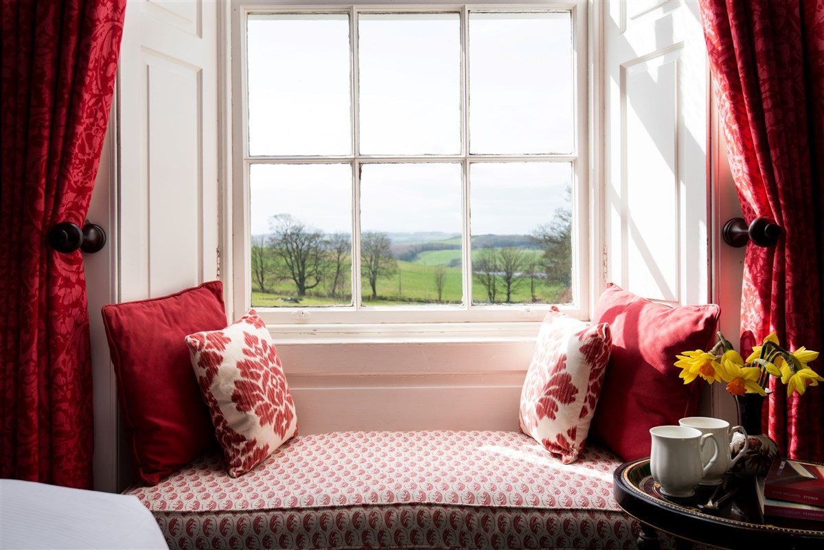 Yellow Room, view