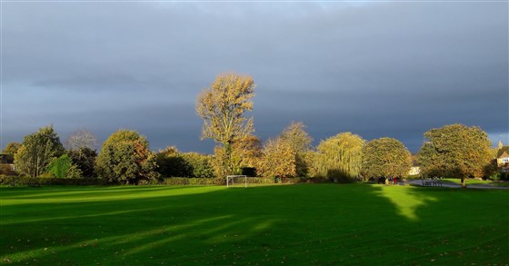 The Green