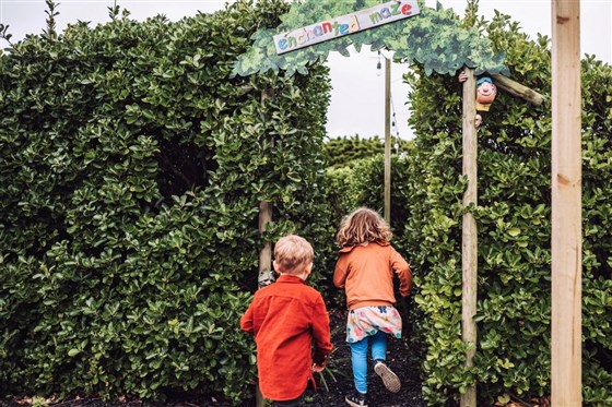 Enchanted Maze