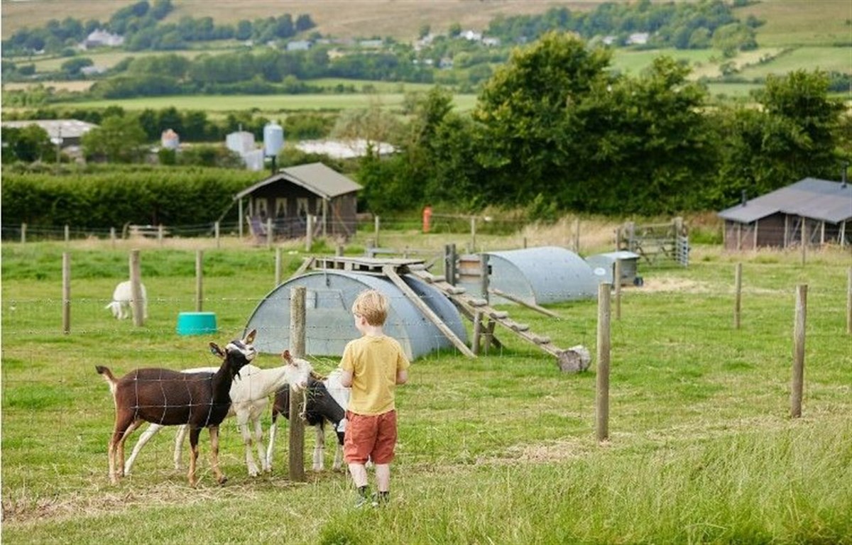Get to know the farm life