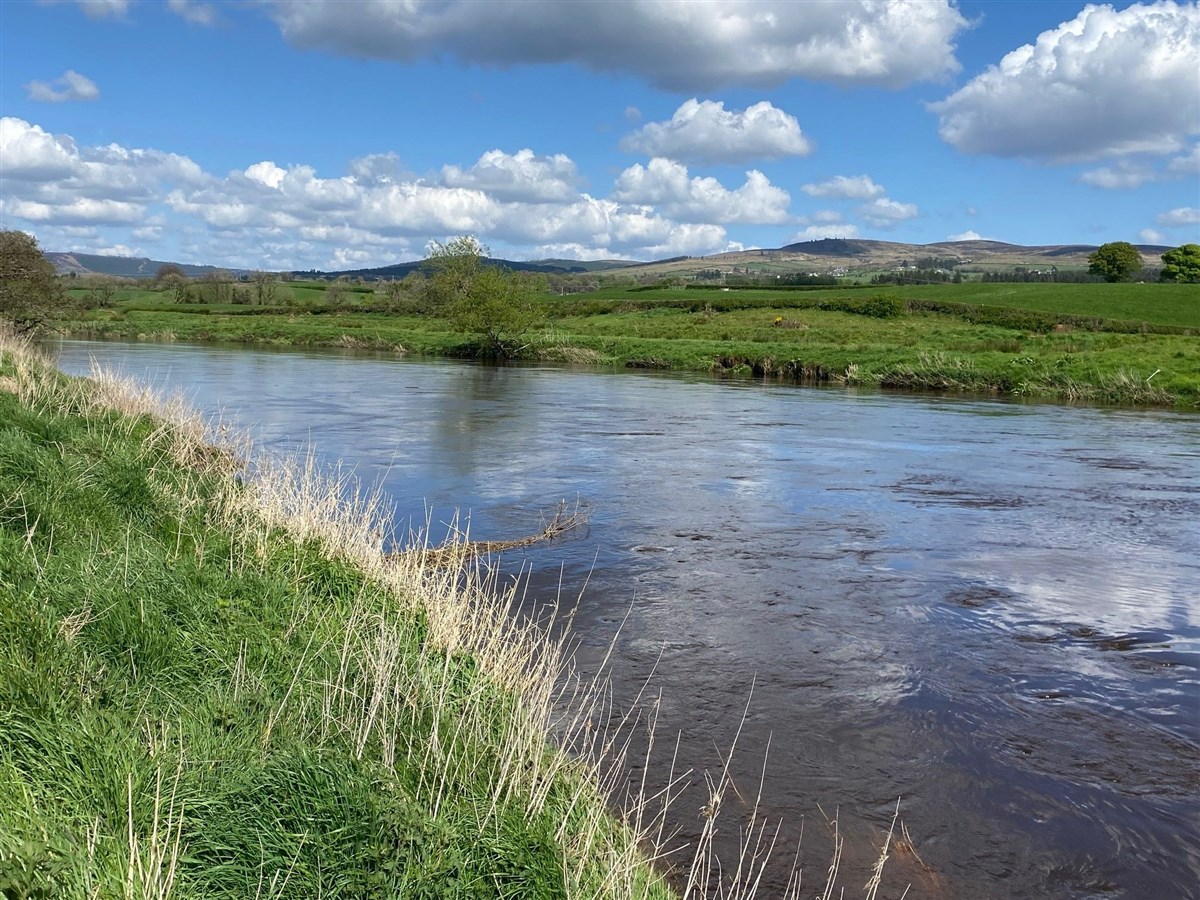 Strule River Rash Estate