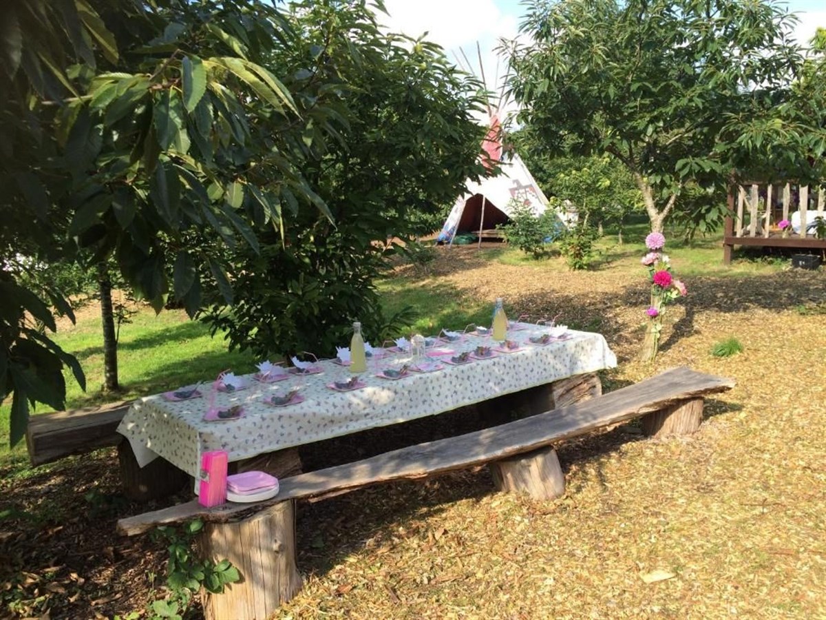 Plush Tents Yurt Village, Chichester