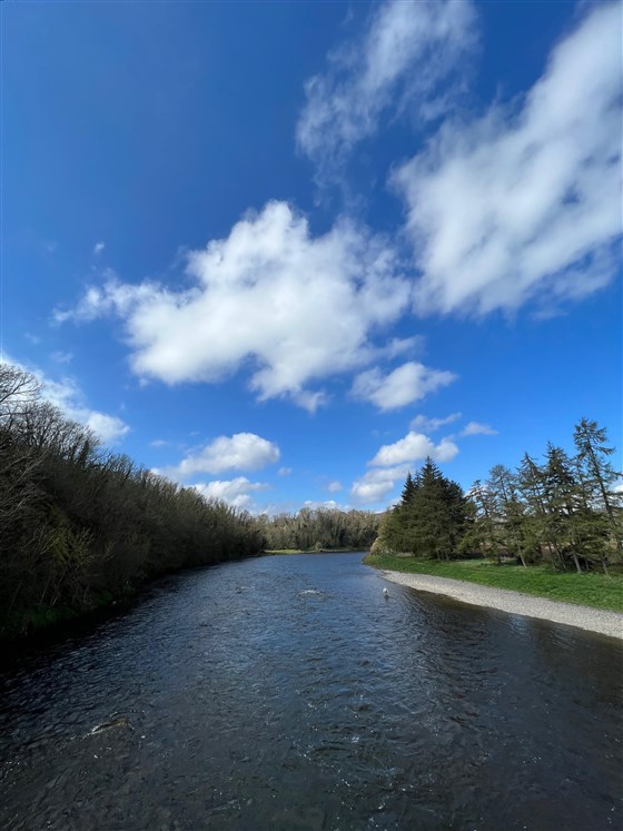Bridge Pool