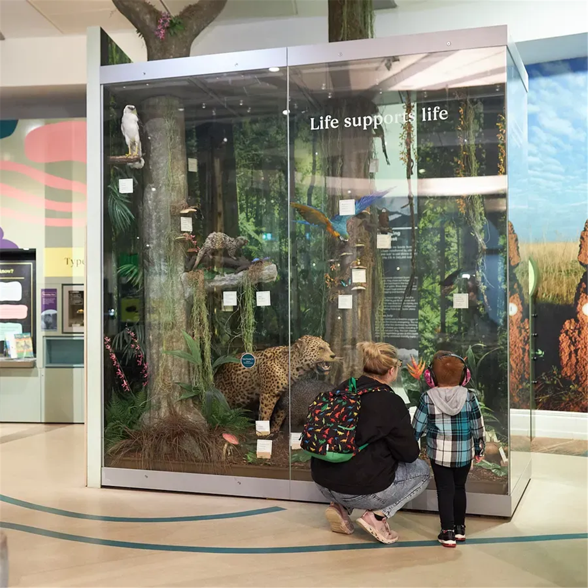 Photograph of 'Voices of Asia' exhibition