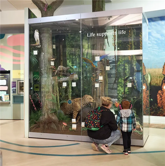 Photograph of 'Voices of Asia' exhibition
