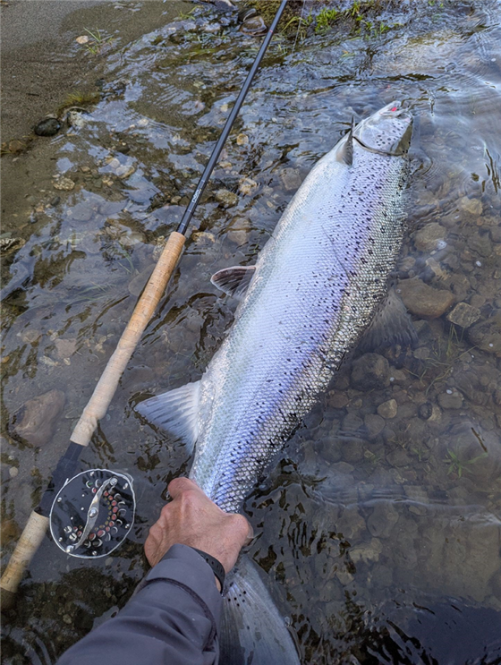 12 kg catch in 2025
