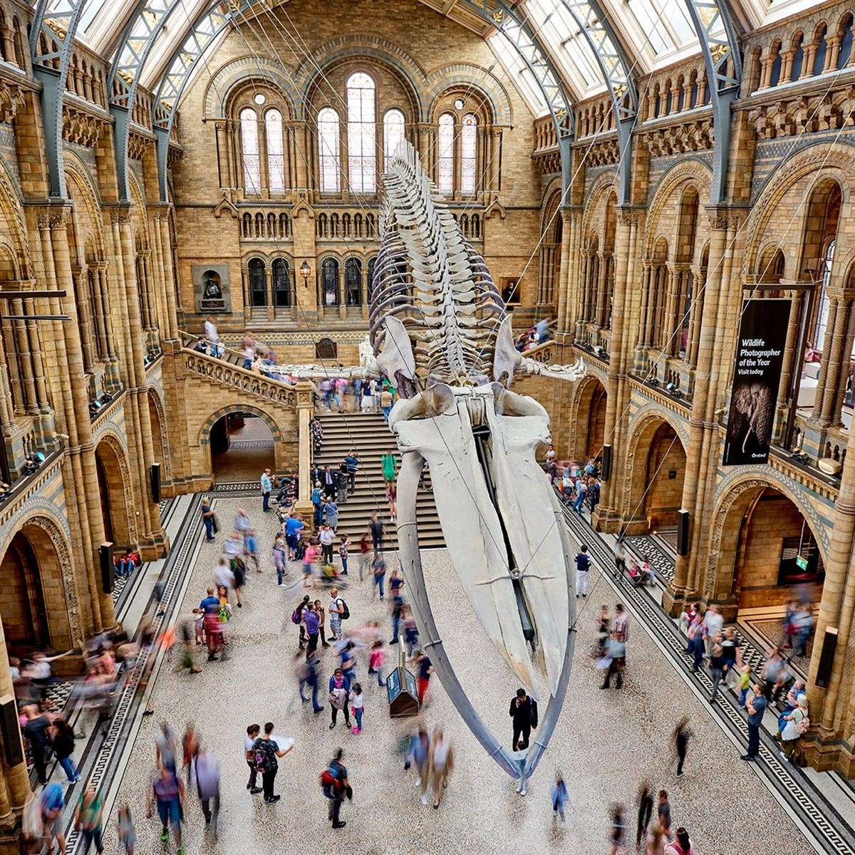 Natural History Museum, London