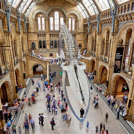 Natural History Museum, London