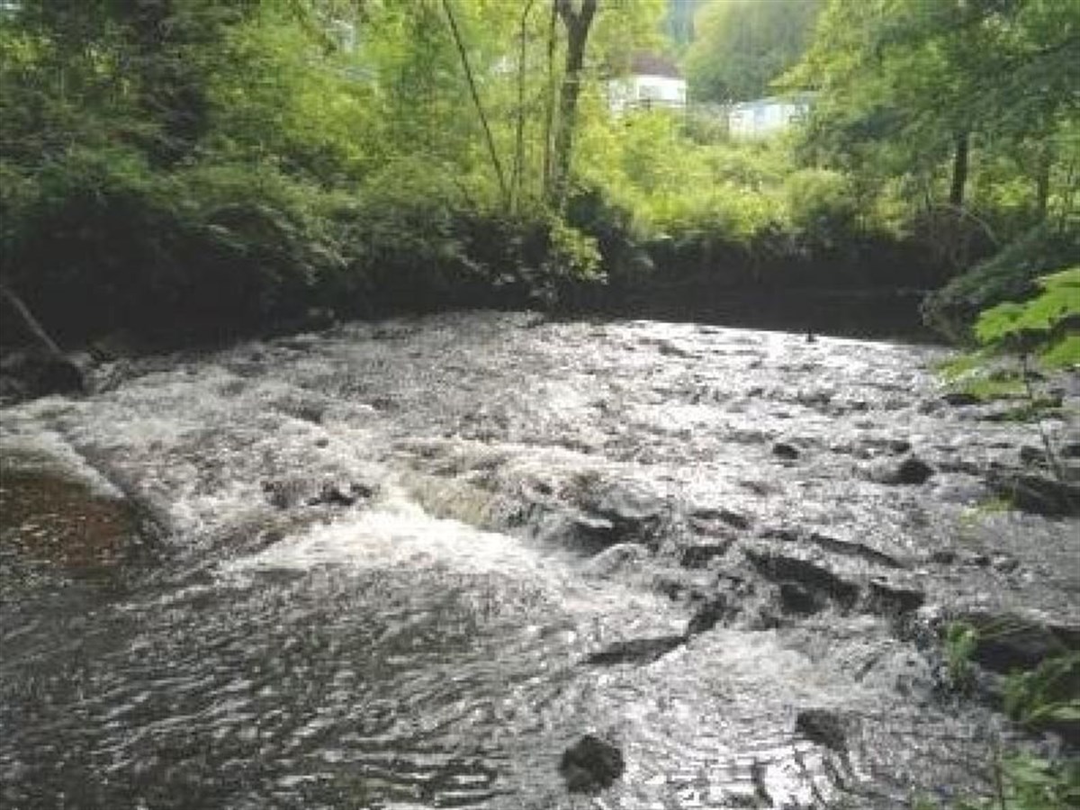 River Finart