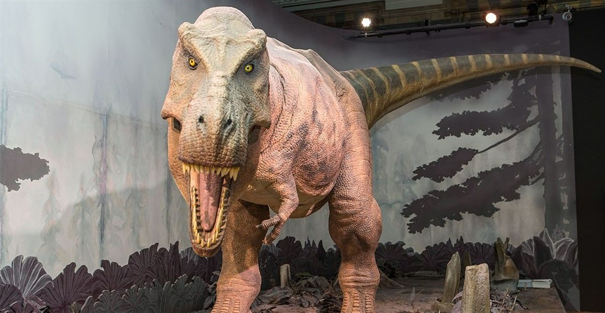 Natural History Museum, London
