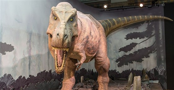Natural History Museum, London
