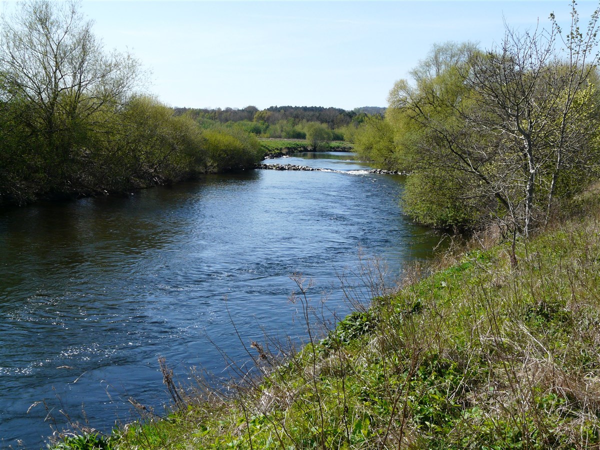 Monteviot Beat