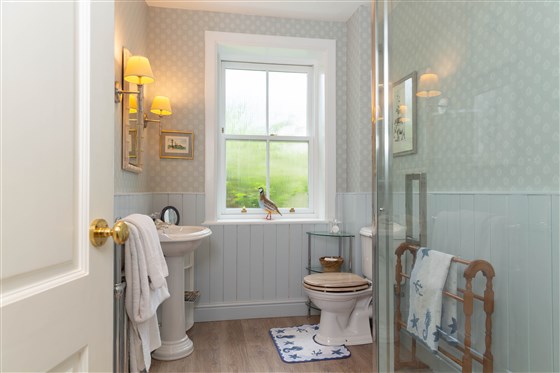 Garden Room shower room