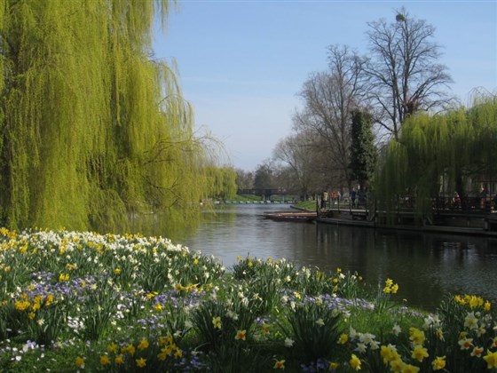 Blick vom Fellows Garden