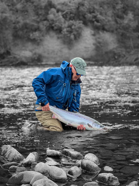 The perfect springer 