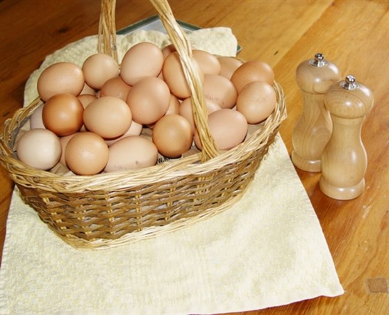 Fresh Eggs